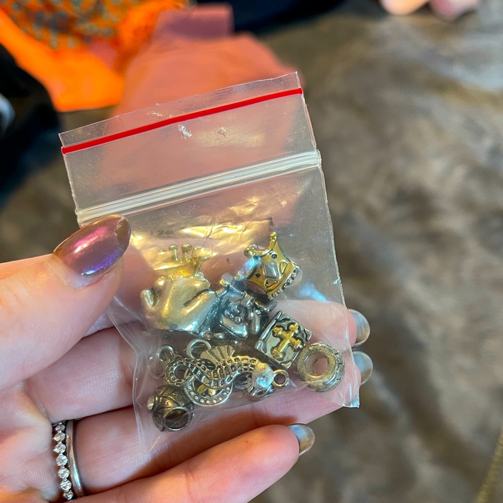 Pandora Charms